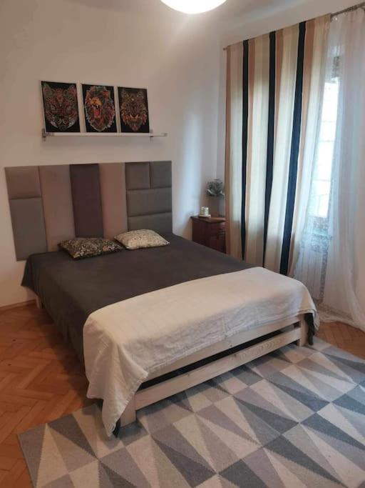 Apartment Zoliborz *